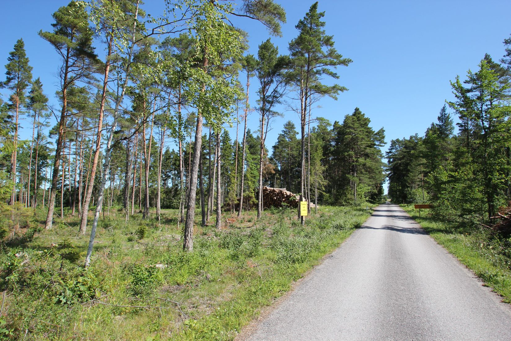 Tomt, Sanda Bjästavs 110, Tomt B, Sanda - Västra Gotland, Gotland