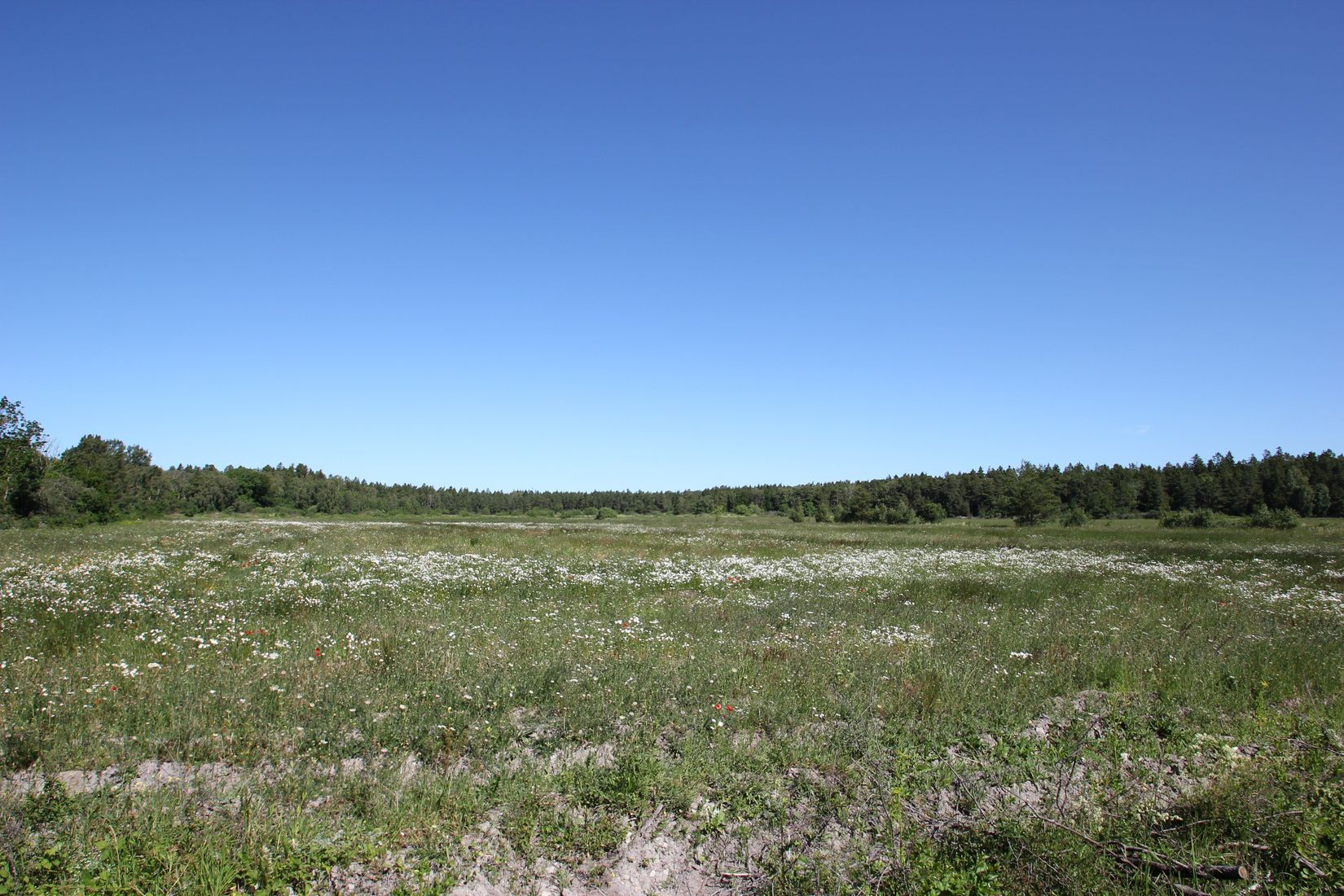 Tomt, Sanda Bjästavs 110, Tomt B, Sanda - Västra Gotland, Gotland