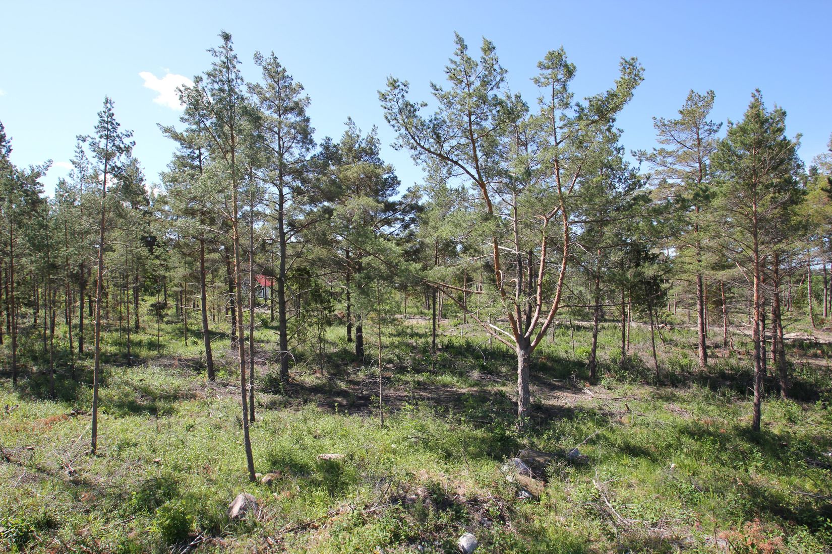 Tomt, Sanda Bjästavs 110, Tomt B, Sanda - Västra Gotland, Gotland