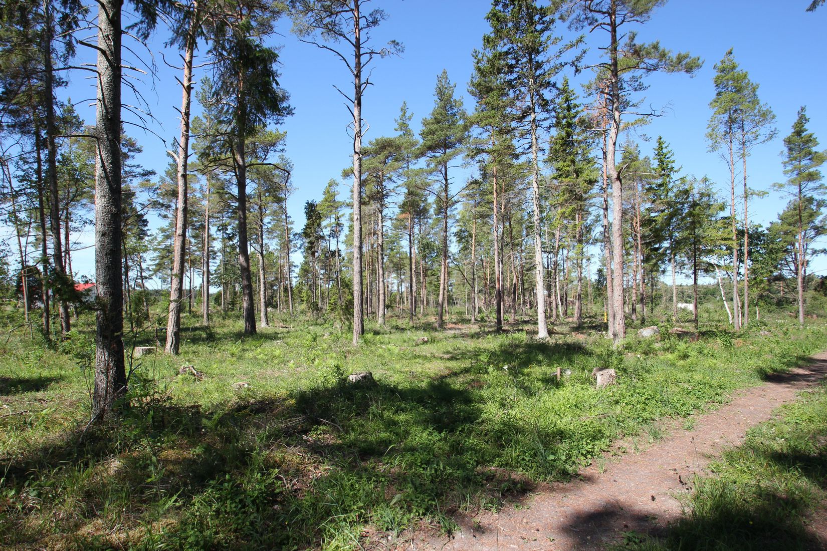 Tomt, Sanda Bjästavs 110, Tomt B, Sanda - Västra Gotland, Gotland
