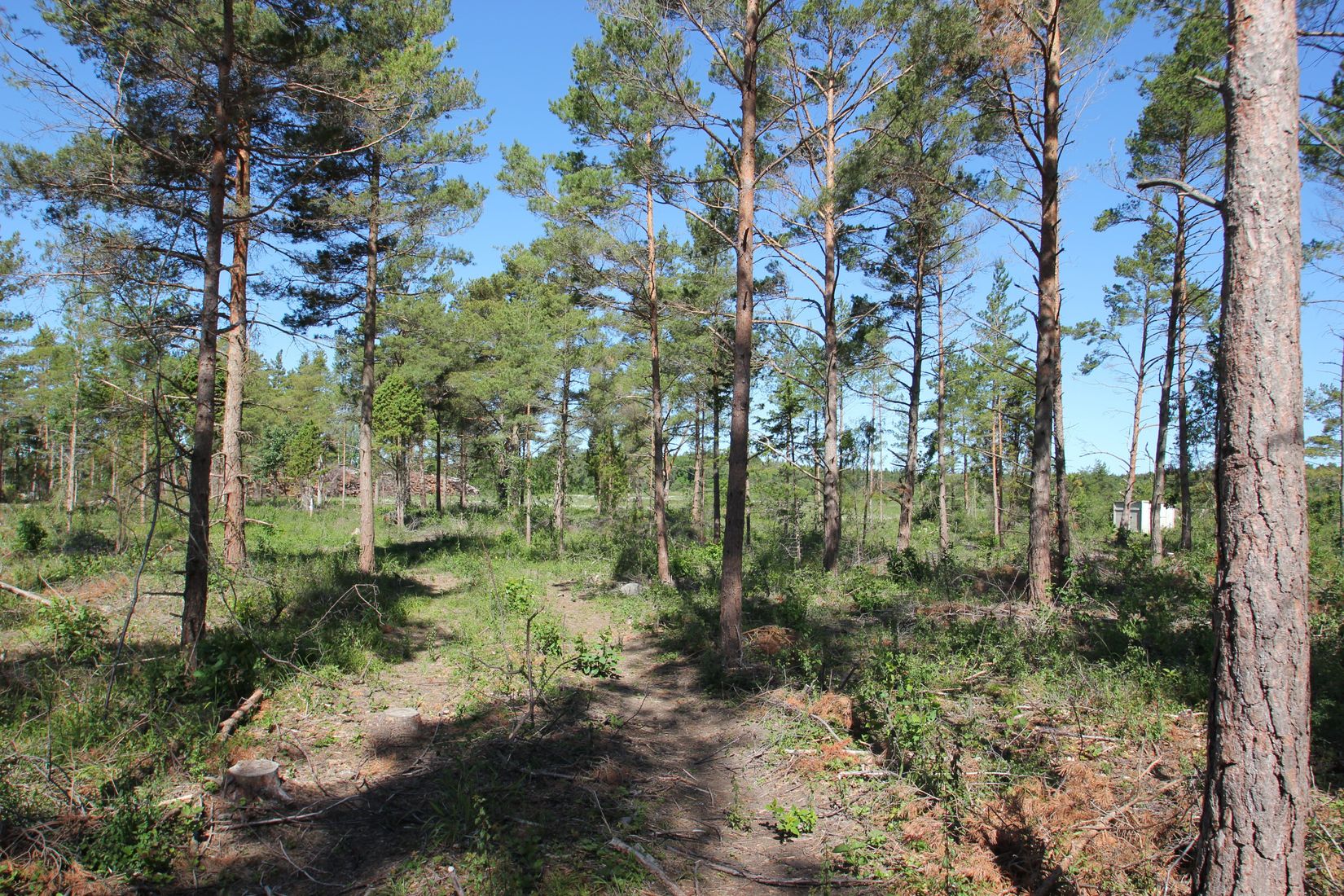 Tomt, Sanda Bjästavs 110, Tomt B, Sanda - Västra Gotland, Gotland