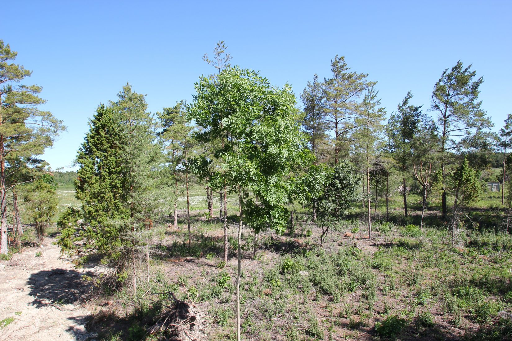 Tomt, Sanda Bjästavs 110, Tomt B, Sanda - Västra Gotland, Gotland