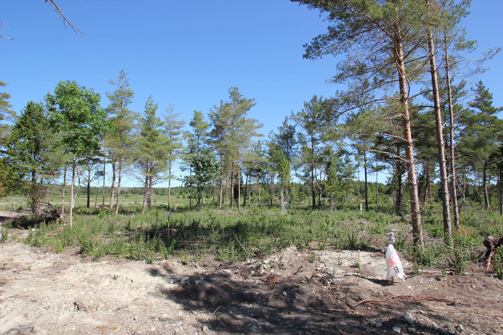 Tomt, Sanda Bjästavs 110, Tomt B, Sanda - Västra Gotland, Gotland