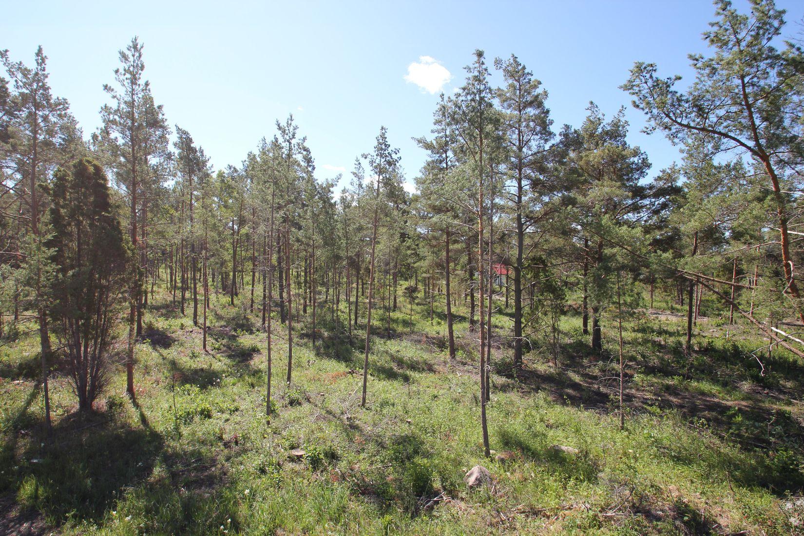 Tomt, Sanda Bjästavs 110, Tomt B, Sanda - Västra Gotland, Gotland