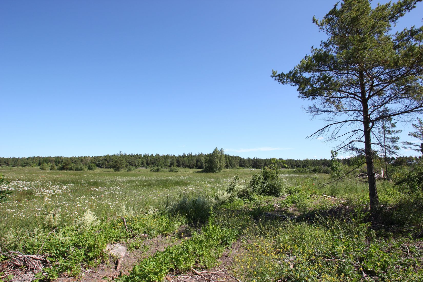 Tomt, Sanda Bjästavs 110, Tomt B, Sanda - Västra Gotland, Gotland