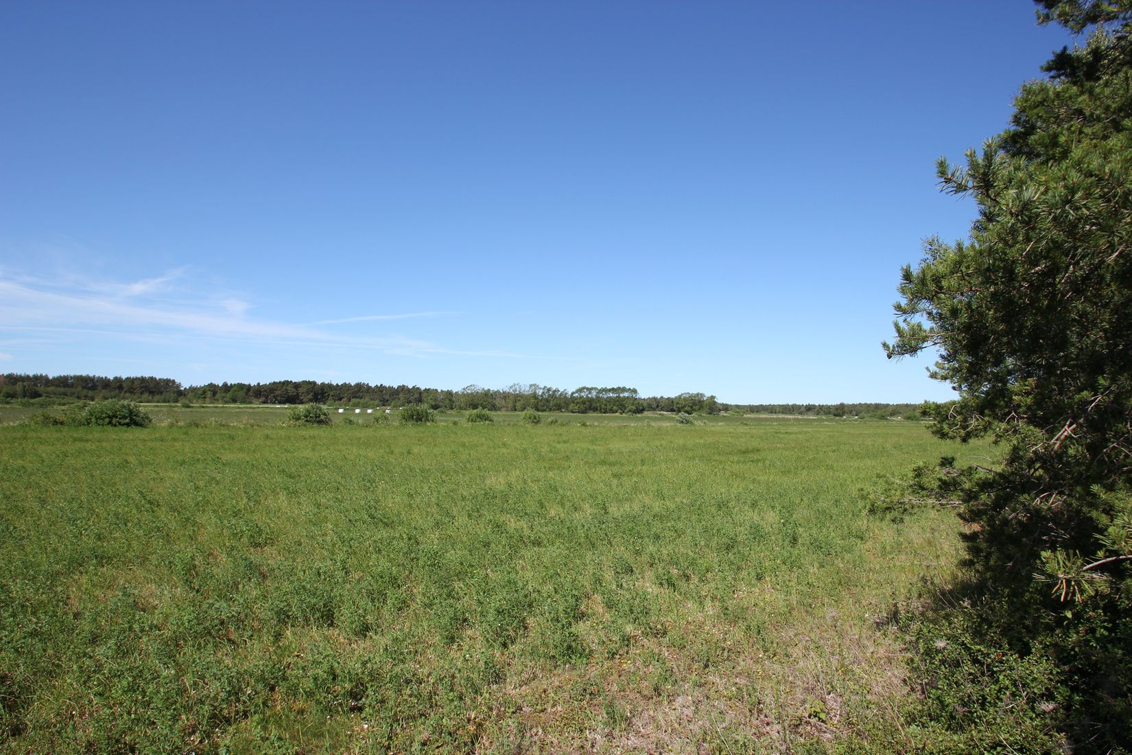 Tomt, Sanda Bjästavs 110, Tomt C, Sanda - Västra Gotland, Gotland