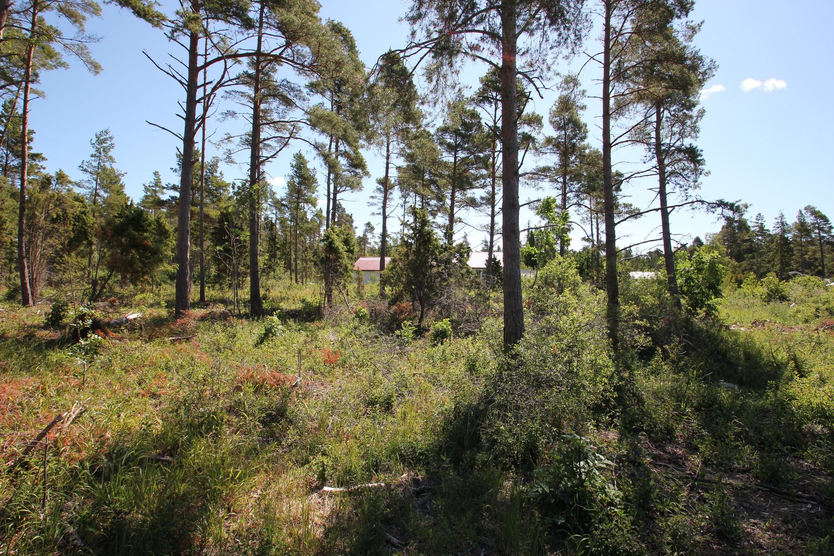 Tomt, Sanda Bjästavs 110, Tomt C, Sanda - Västra Gotland, Gotland
