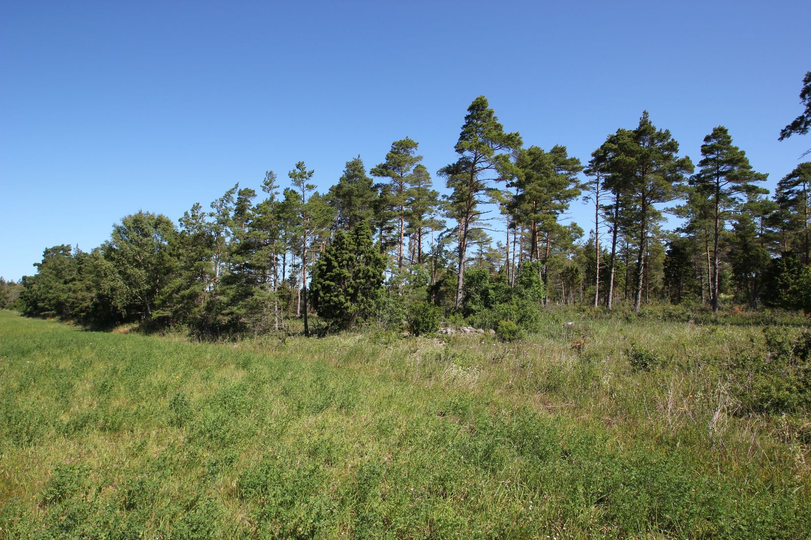 Tomt, Sanda Bjästavs 110, Tomt C, Sanda - Västra Gotland, Gotland