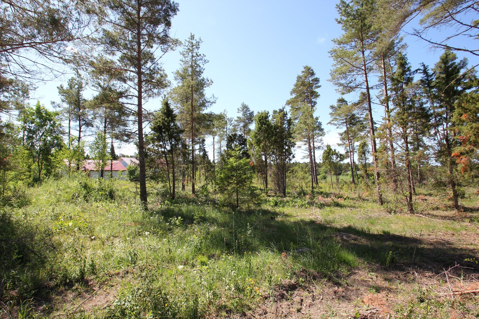 Tomt, Sanda Bjästavs 110, Tomt C, Sanda - Västra Gotland, Gotland