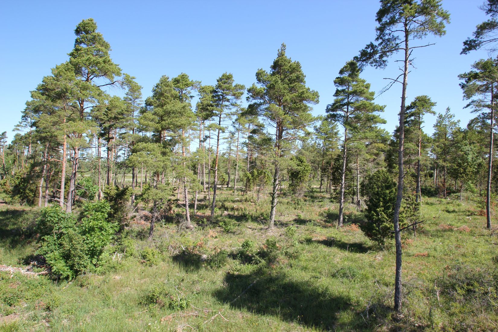 Tomt, Sanda Bjästavs 110, Tomt C, Sanda - Västra Gotland, Gotland