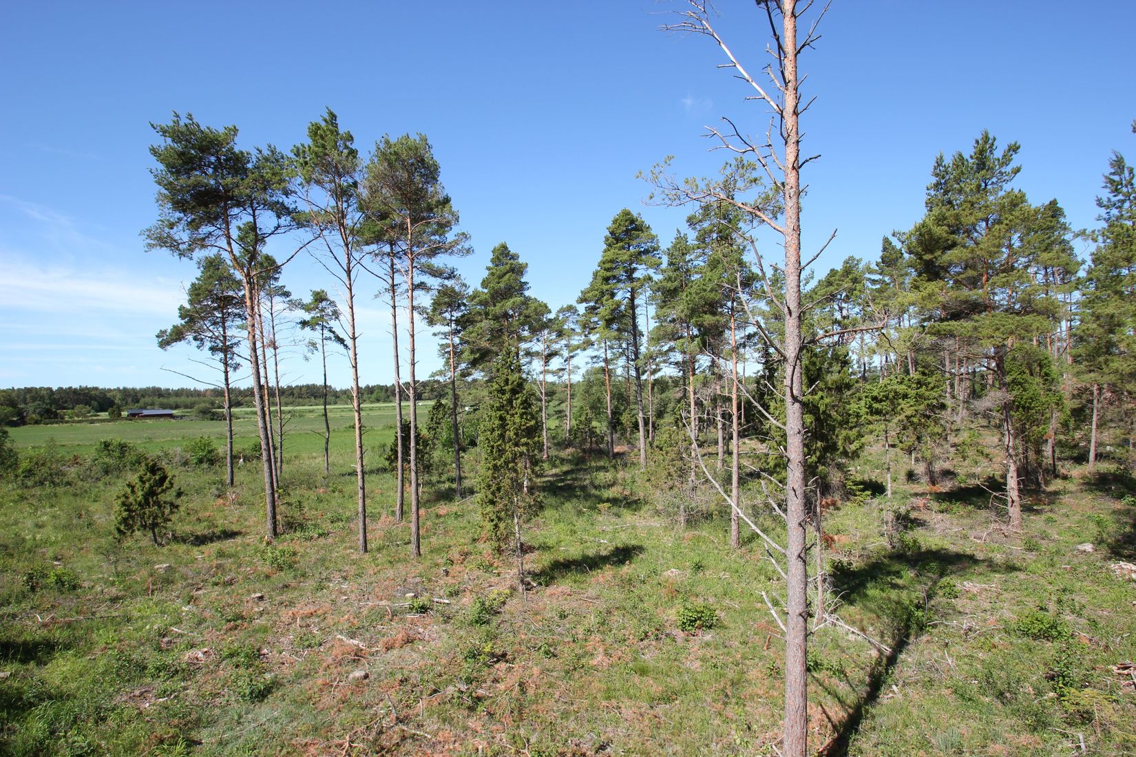 Tomt, Sanda Bjästavs 110, Tomt C, Sanda - Västra Gotland, Gotland