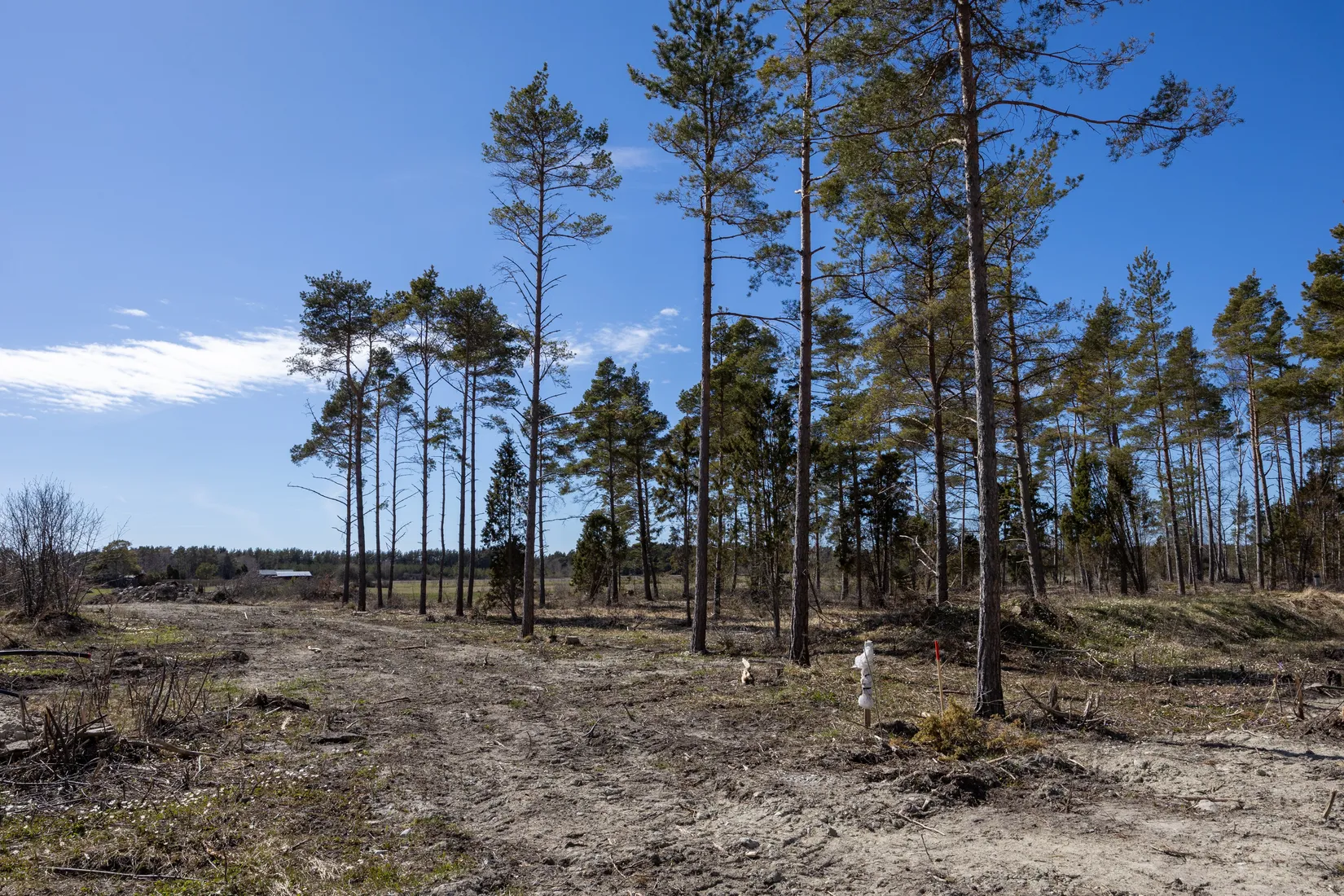 Tomt, Västergarn Stora Mafrids 571, Västergarn, Gotland