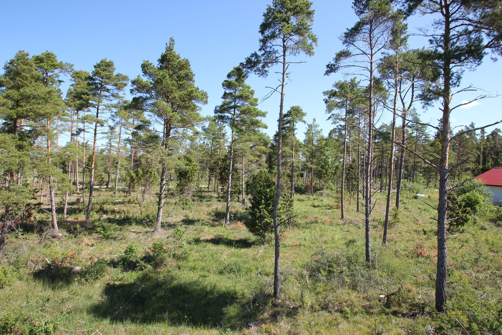 Tomt, Sanda Bjästavs 110, Tomt C, Sanda - Västra Gotland, Gotland