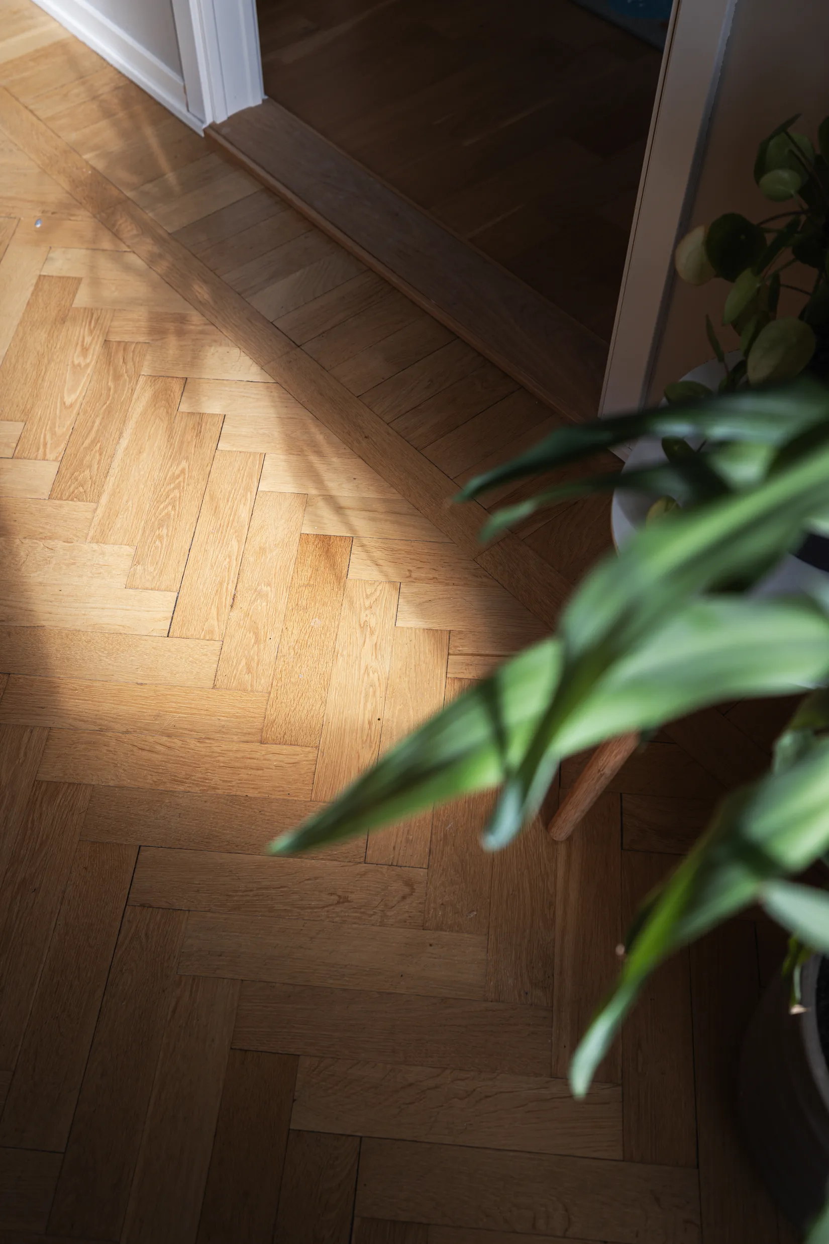 Bostadsrätt, Birkagatan 18C, Örgryte, Göteborg