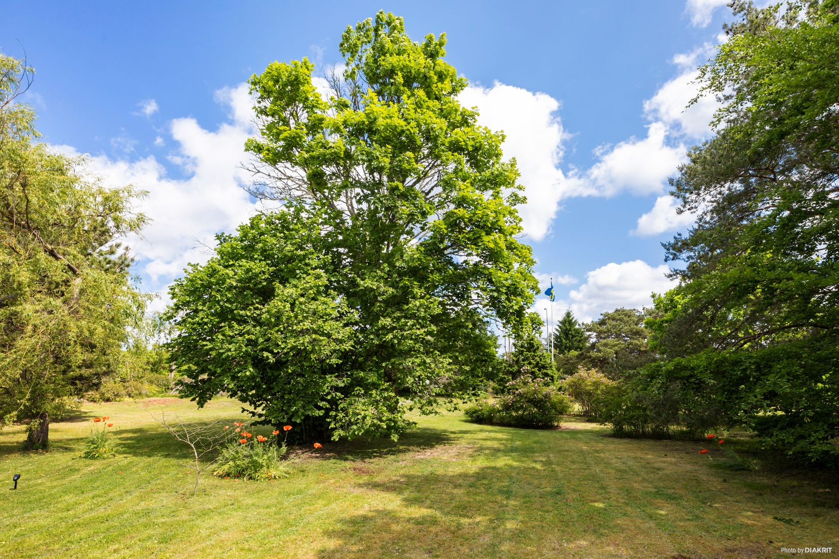 Tomt, Storvägen 113, Ljugarn - Sydöstra Gotland, Gotland