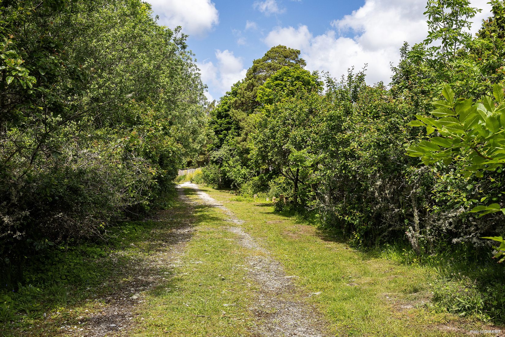 Tomt, Storvägen 115, Ljugarn - Östra Gotland, Gotland