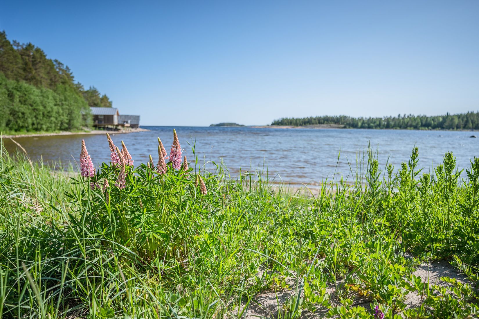 Fritidshus, Aggösundet 112, Örnsköldsvik