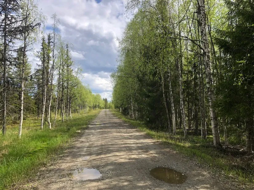 Gård/Skog, Åttonträsk, Åttonträsk, Lycksele