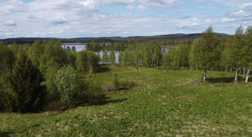 Gård/Skog, Åttonträsk, Åttonträsk, Lycksele