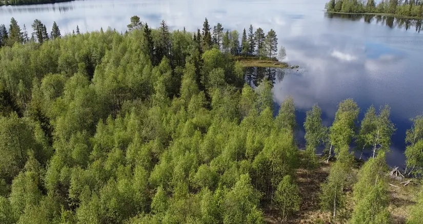 Gård/Skog, Åttonträsk, Åttonträsk, Lycksele