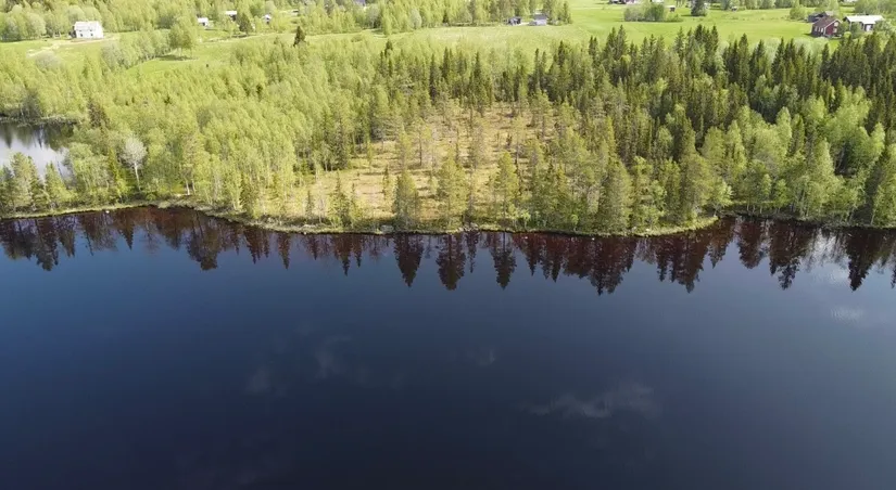 Gård/Skog, Åttonträsk, Åttonträsk, Lycksele