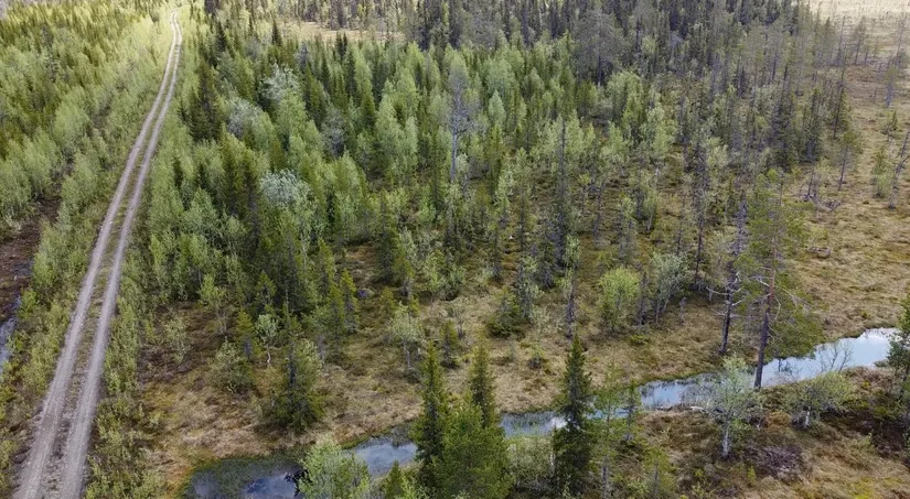 Gård/Skog, Åttonträsk, Åttonträsk, Lycksele