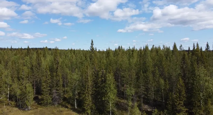 Gård/Skog, Åttonträsk, Åttonträsk, Lycksele