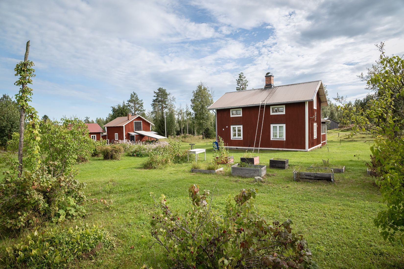 Gård/Skog, Råsjö 126, Ånge