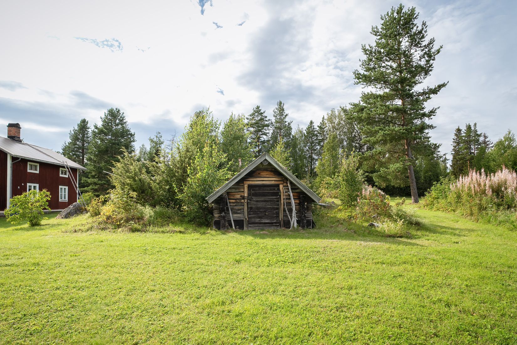 Gård/Skog, Råsjö 126, Ånge