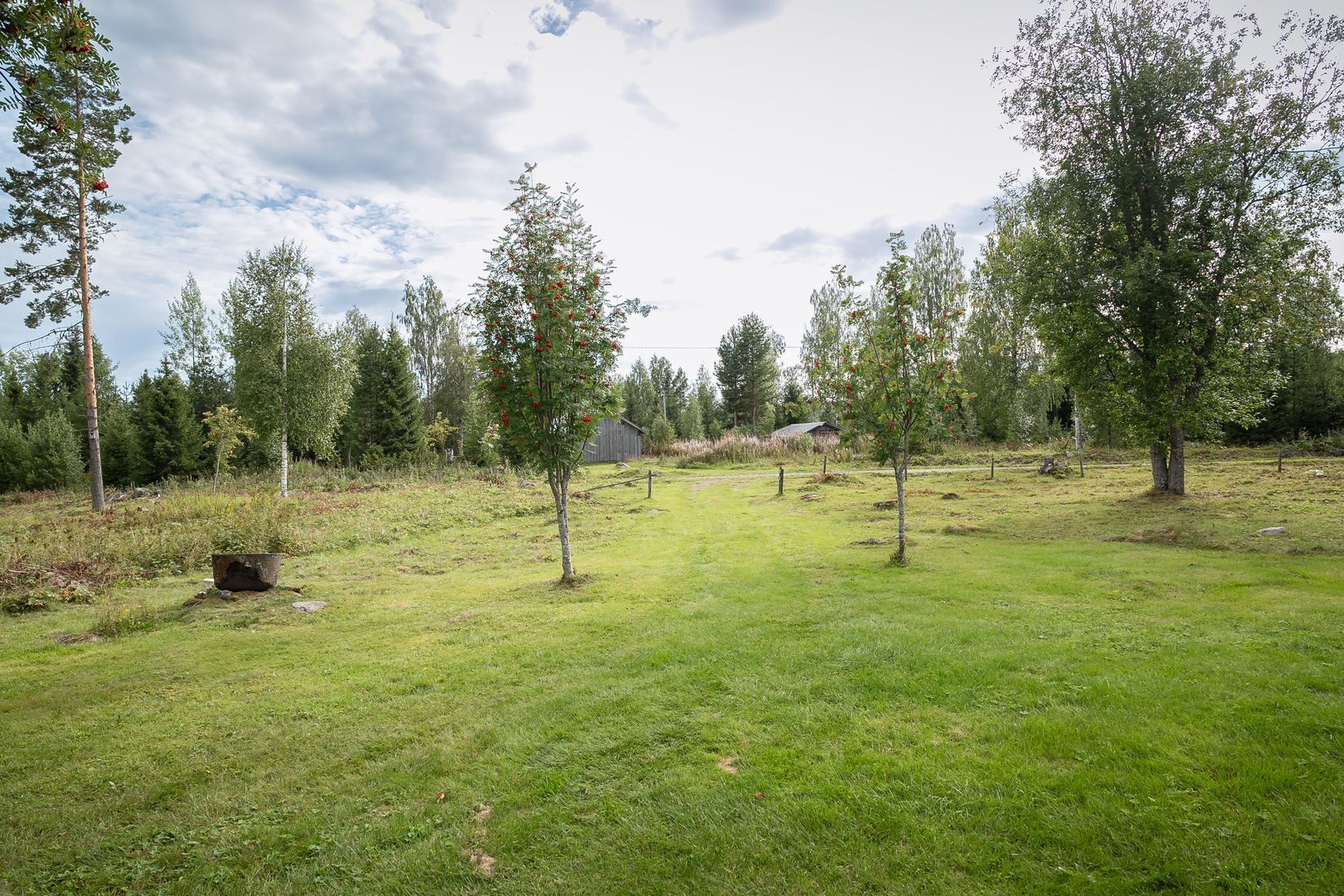 Gård/Skog, Råsjö 126, Ånge