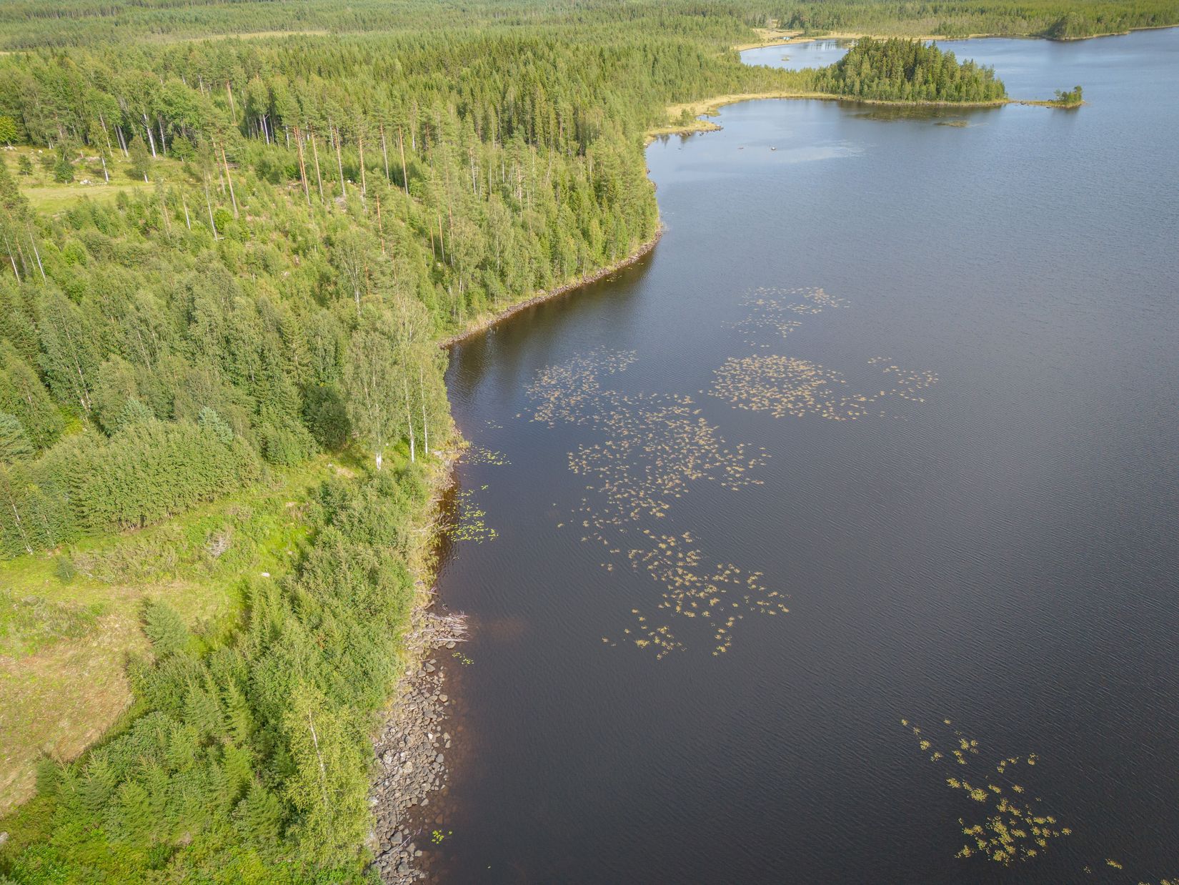 Gård/Skog, Råsjö 126, Ånge