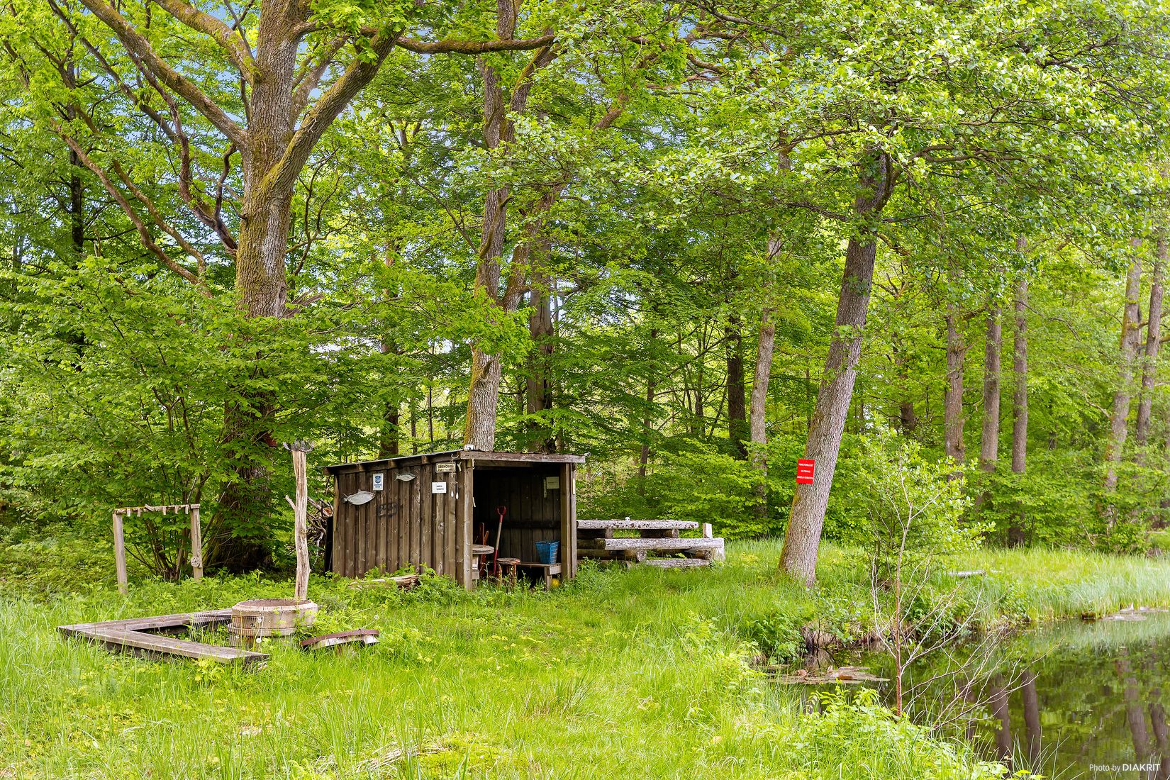 Gård/Skog, Östra Ringarp 12:16, Örkelljunga