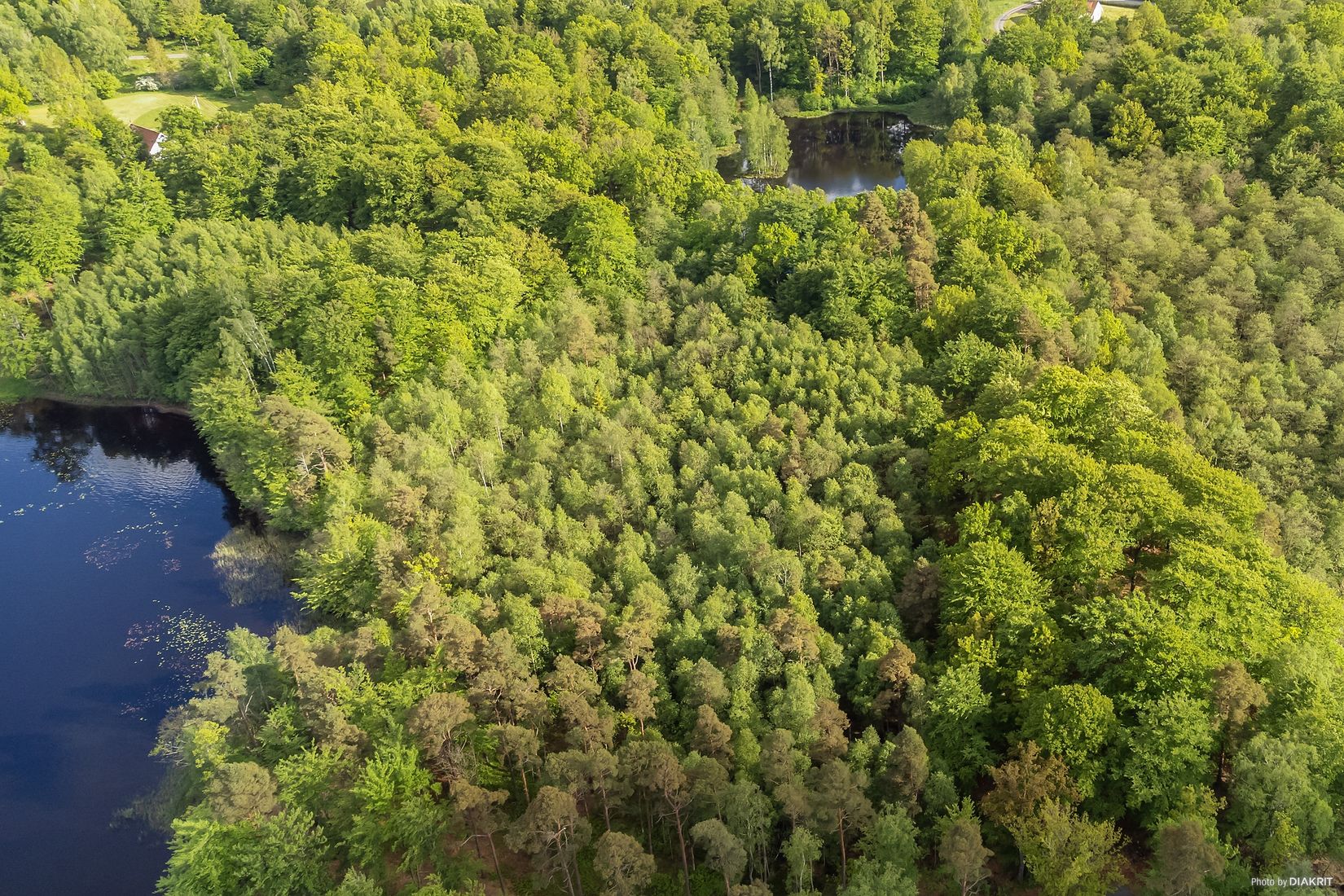 Gård/Skog, Östra Ringarp 12:16, Örkelljunga