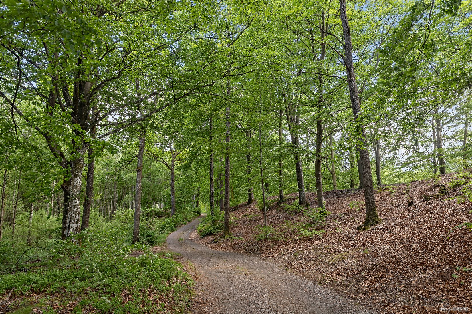 Gård/Skog, Östra Ringarp 12:16, Örkelljunga