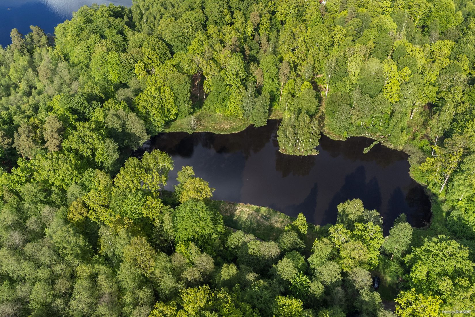 Gård/Skog, Östra Ringarp 12:16, Örkelljunga