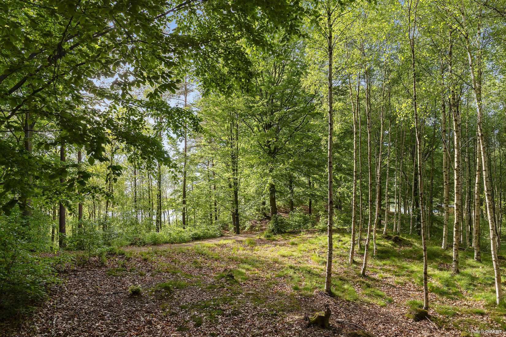 Gård/Skog, Östra Ringarp 12:16, Örkelljunga