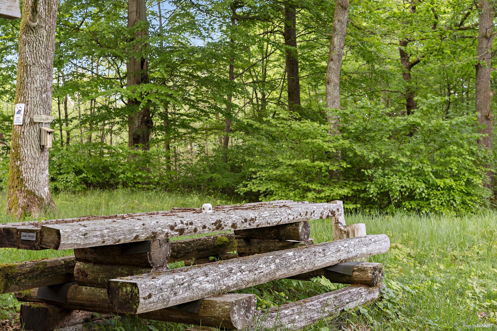 Gård/Skog, Östra Ringarp 12:16, Örkelljunga