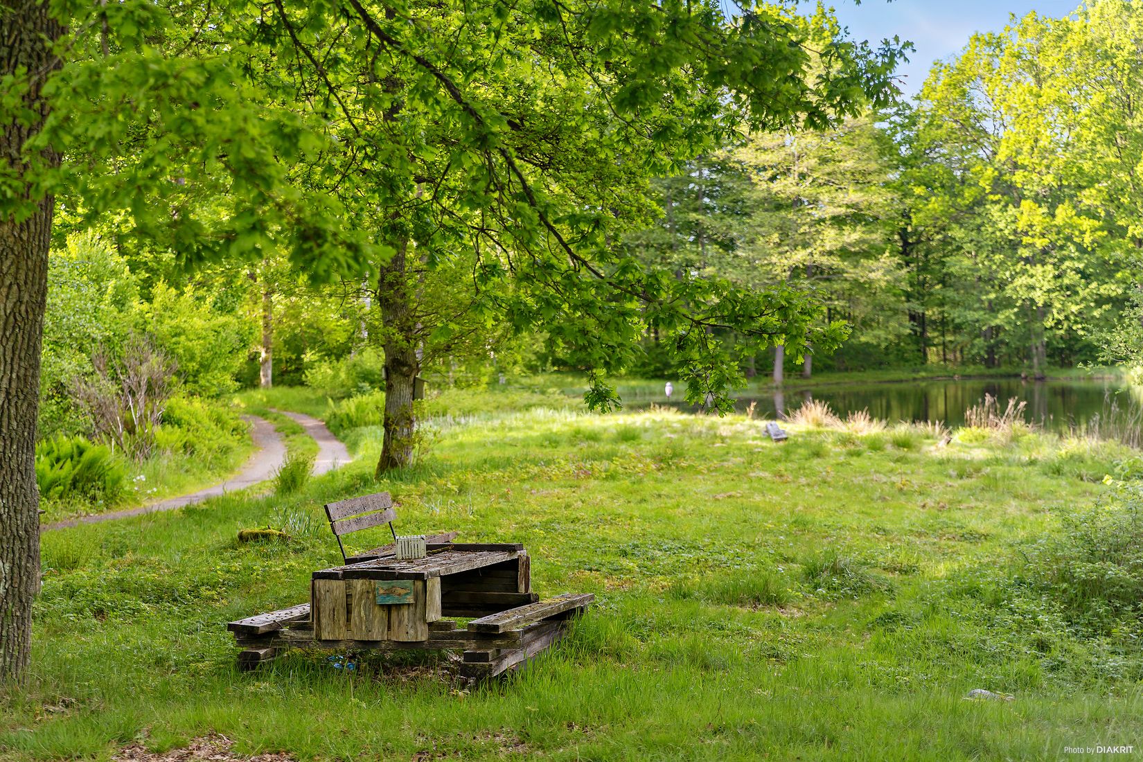 Gård/Skog, Östra Ringarp 12:16, Örkelljunga