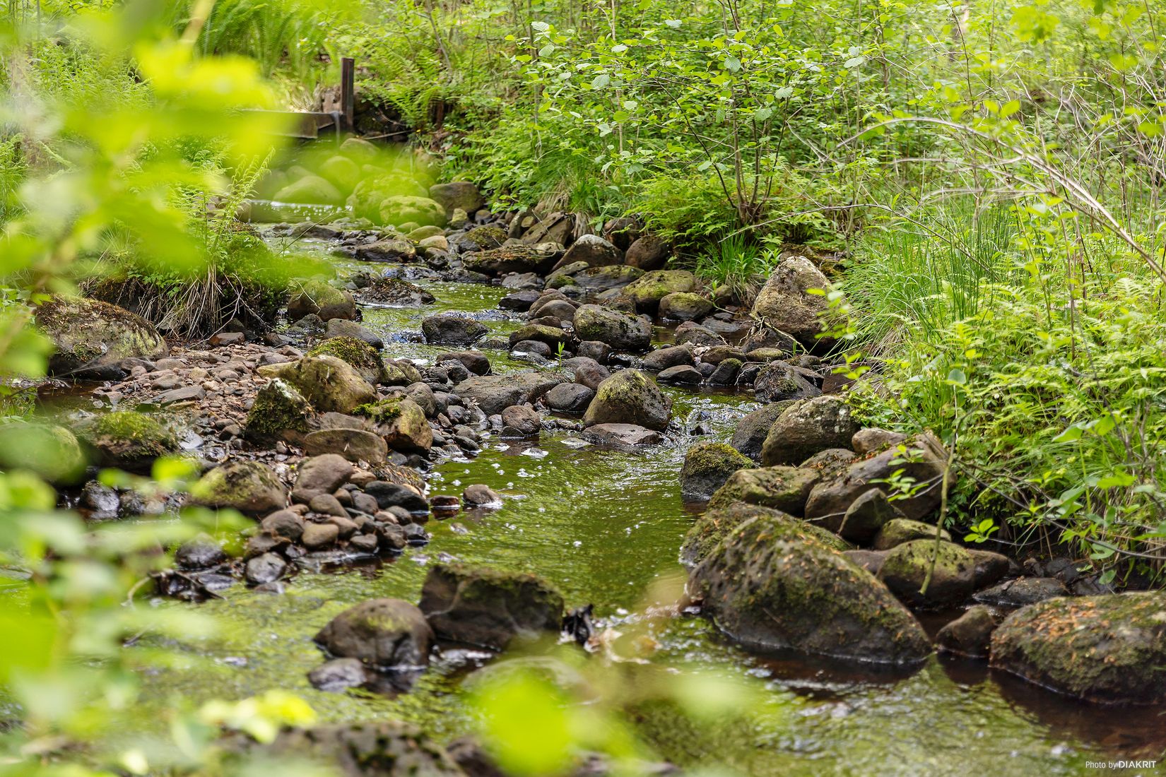 Gård/Skog, Östra Ringarp 12:16, Örkelljunga