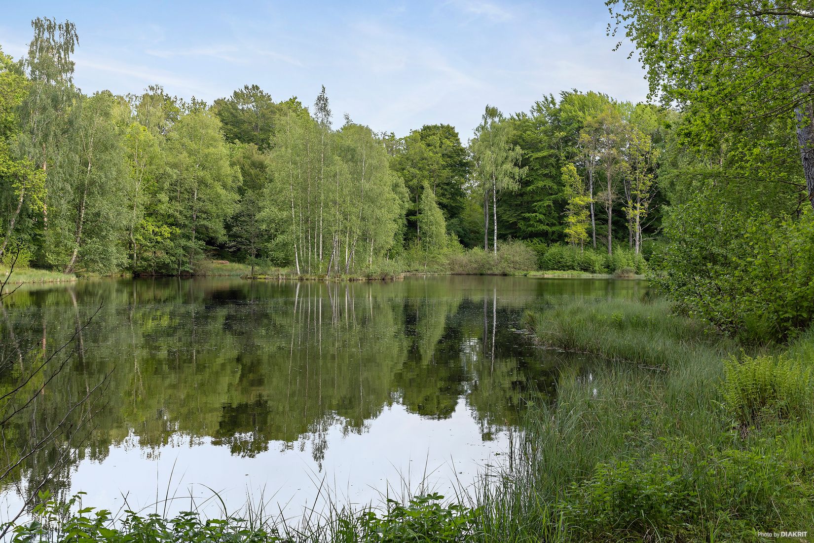 Gård/Skog, Östra Ringarp 12:16, Örkelljunga