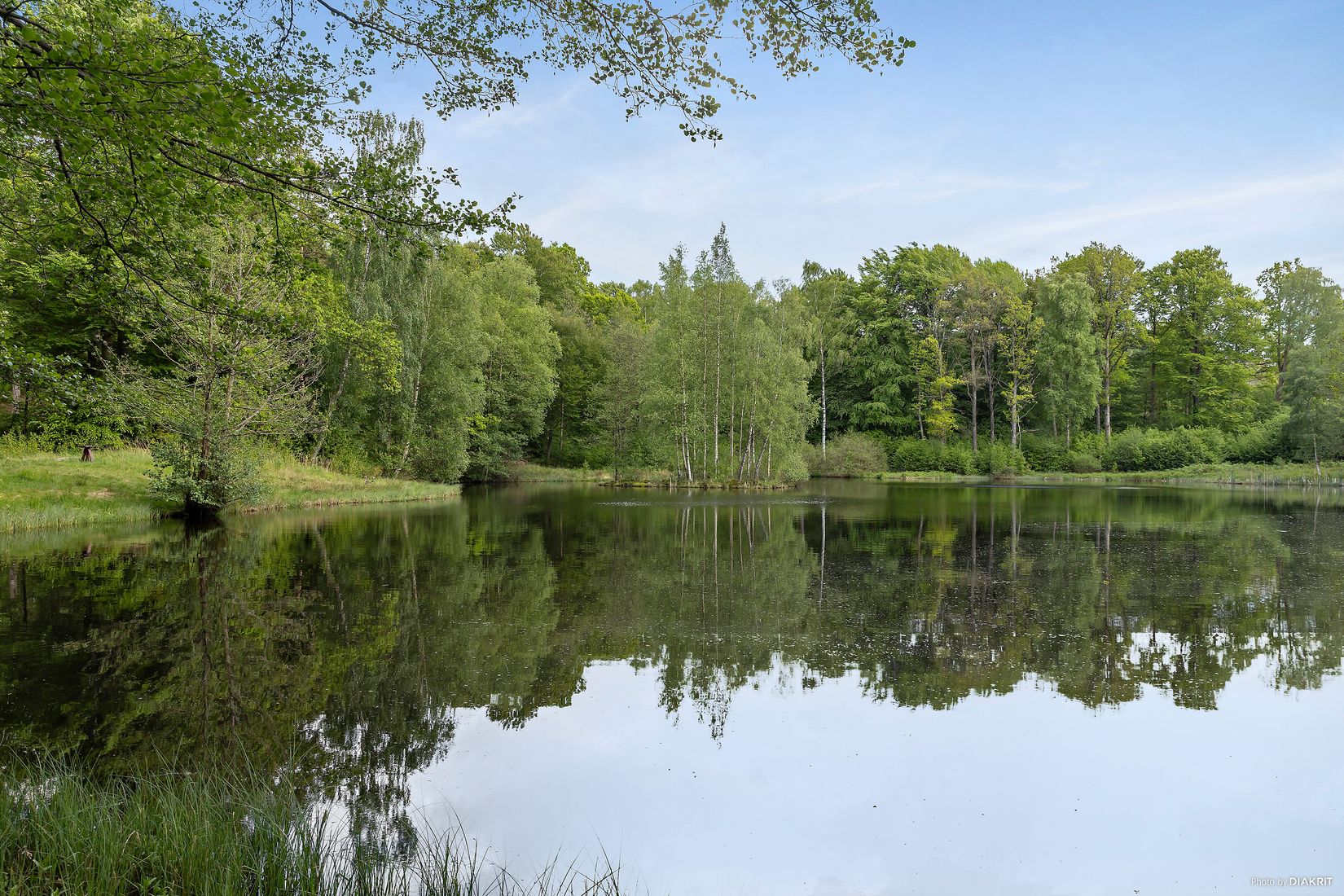 Gård/Skog, Östra Ringarp 12:16, Örkelljunga
