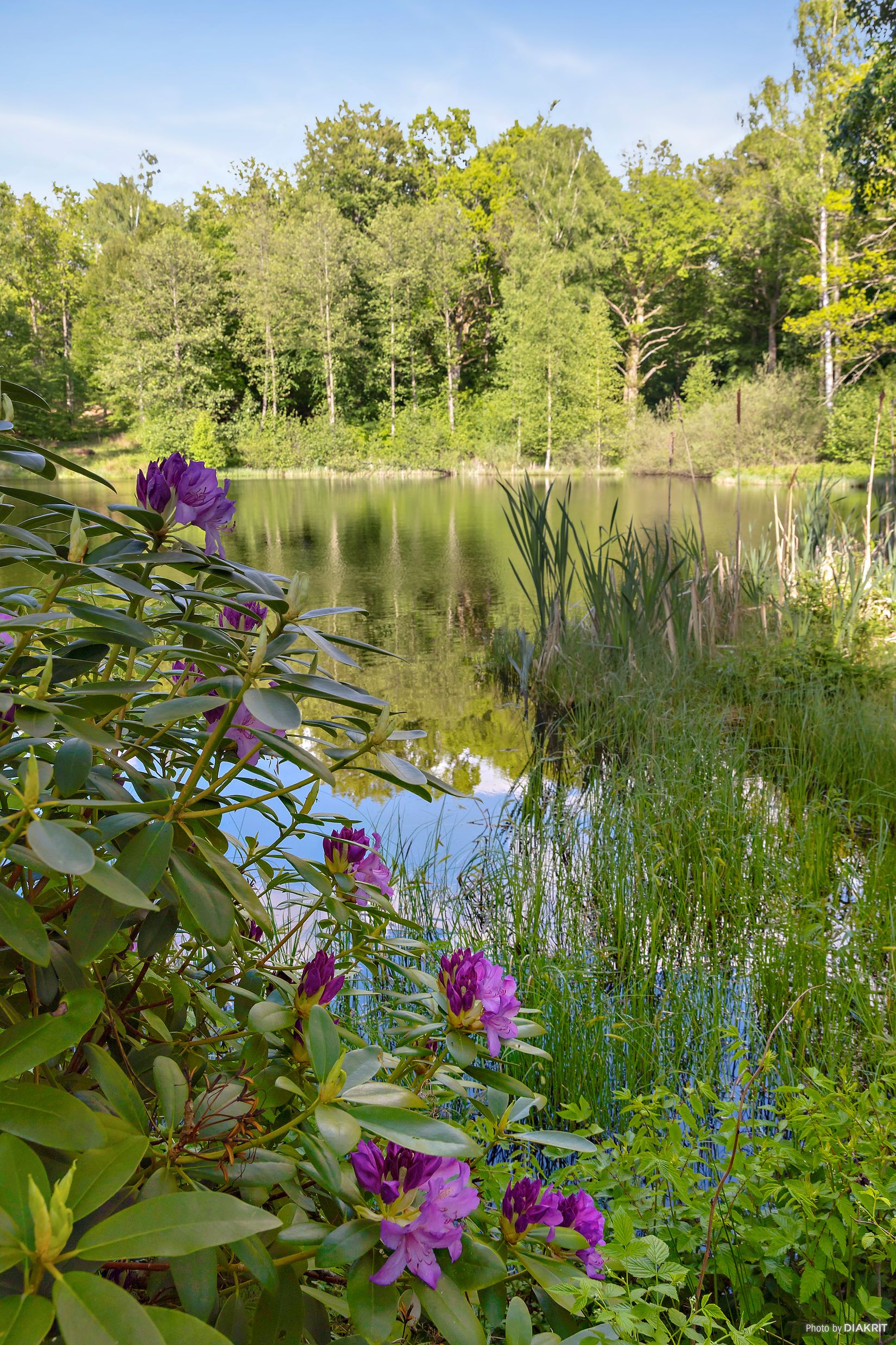Gård/Skog, Östra Ringarp 12:16, Örkelljunga