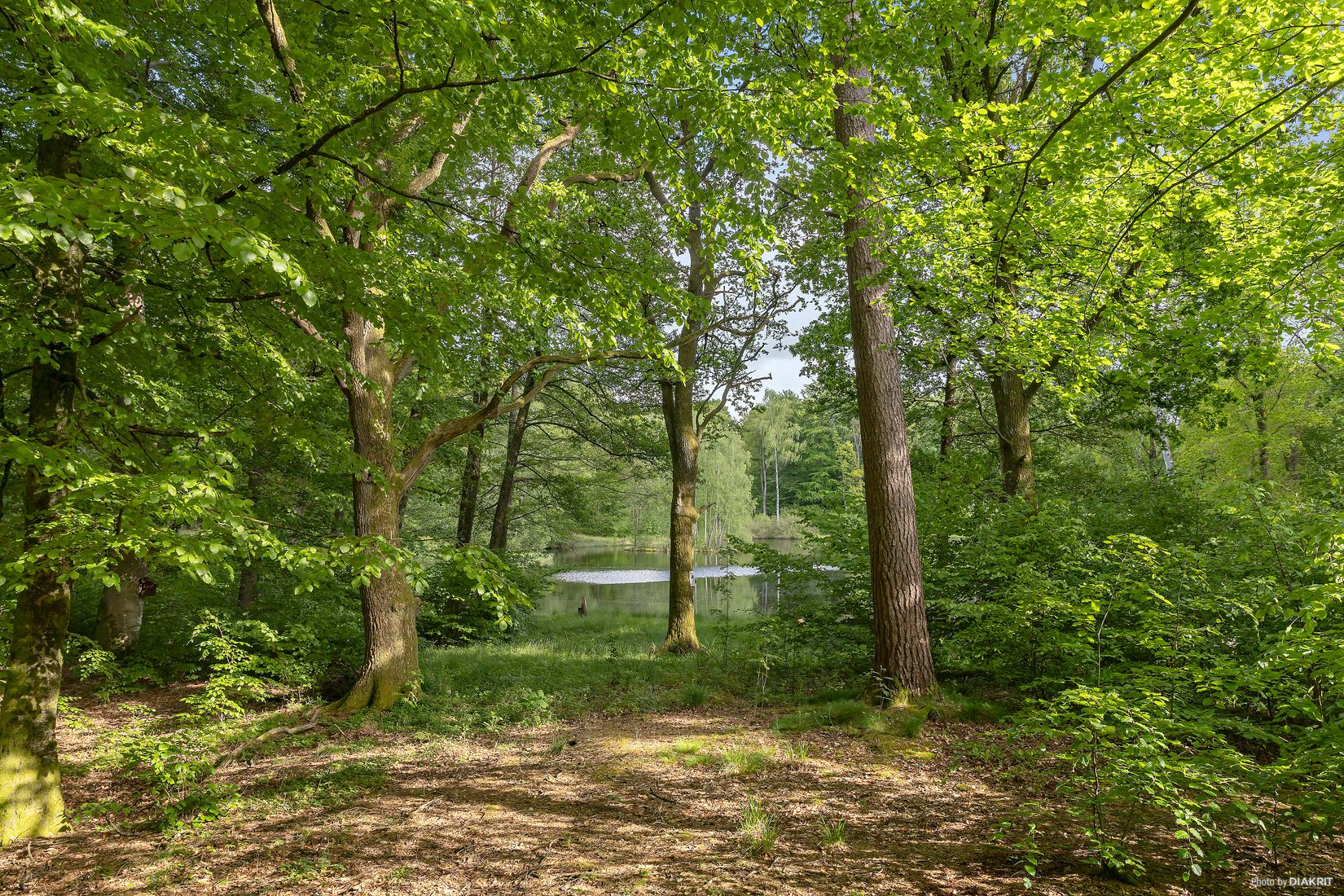 Gård/Skog, Östra Ringarp 12:16, Örkelljunga