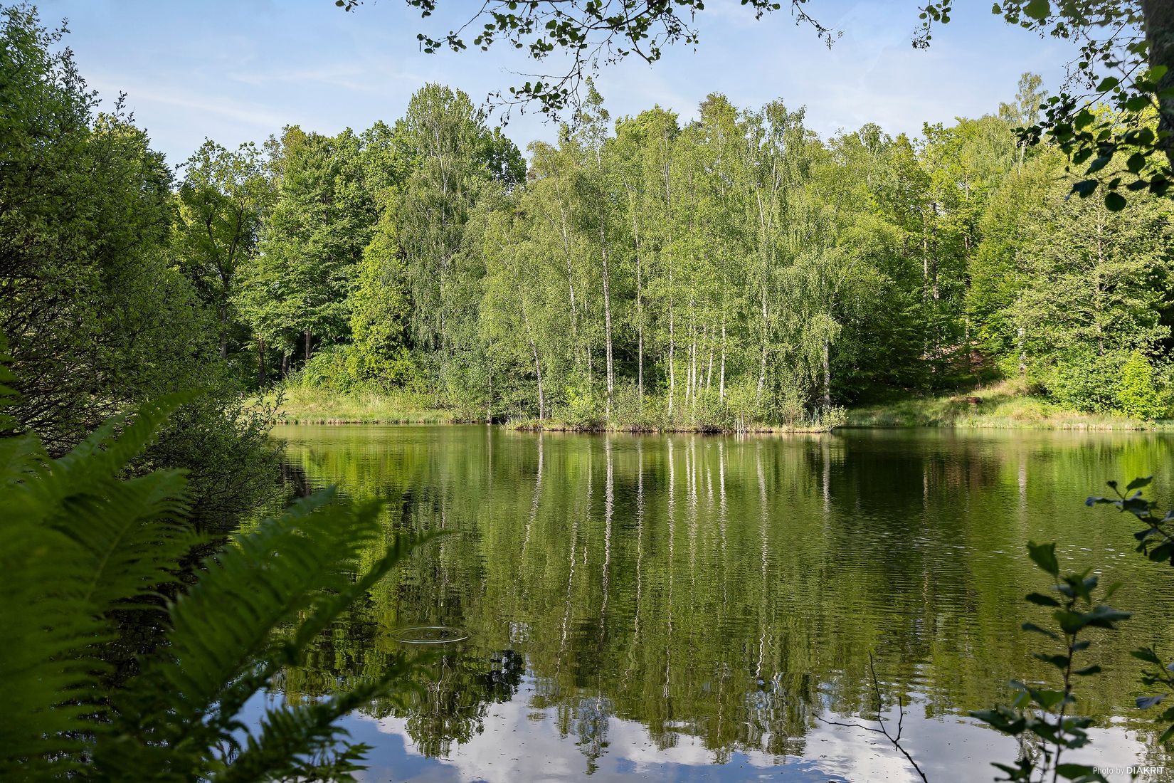 Gård/Skog, Östra Ringarp 12:16, Örkelljunga