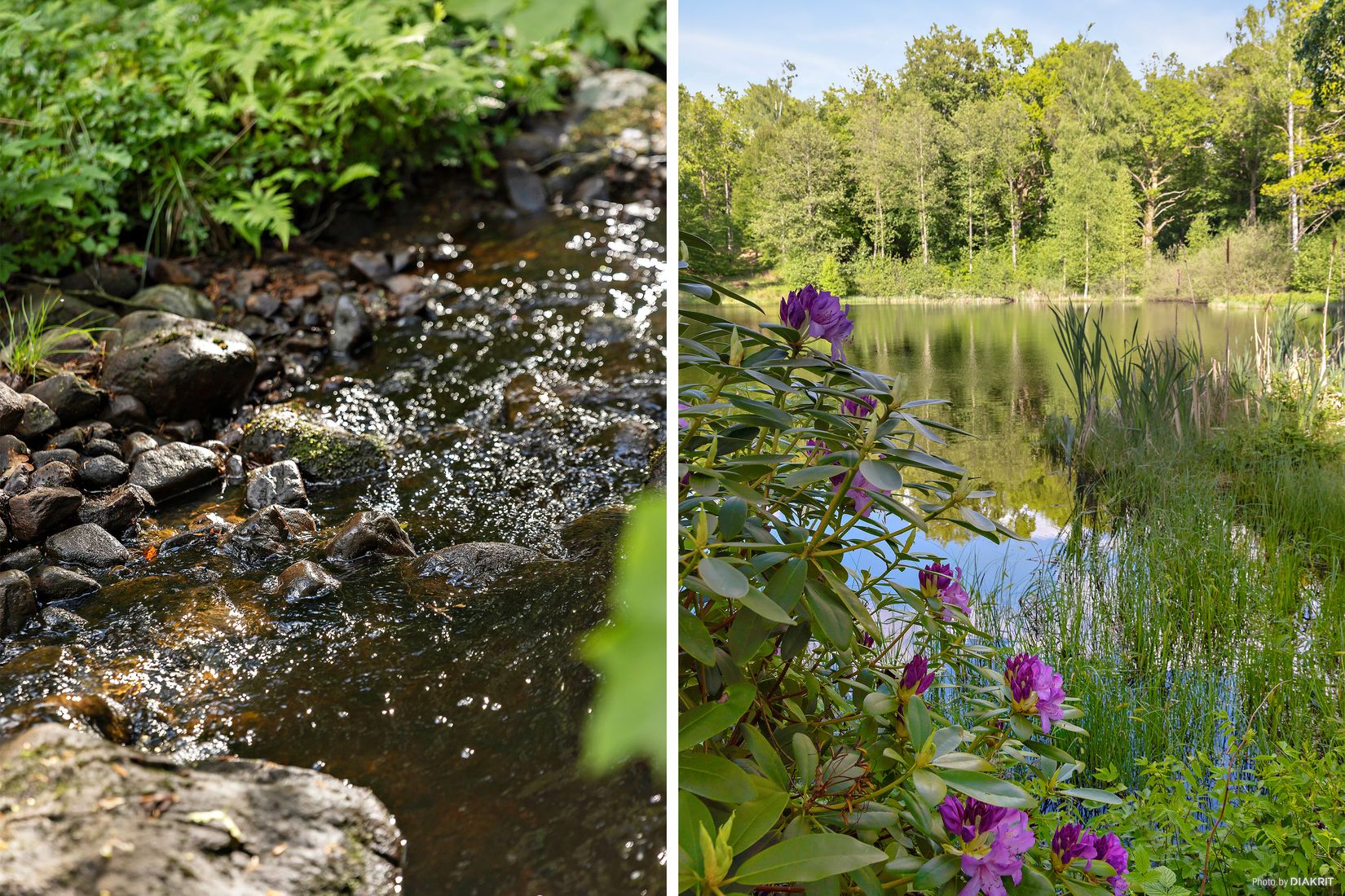 Gård/Skog, Östra Ringarp 12:16, Örkelljunga