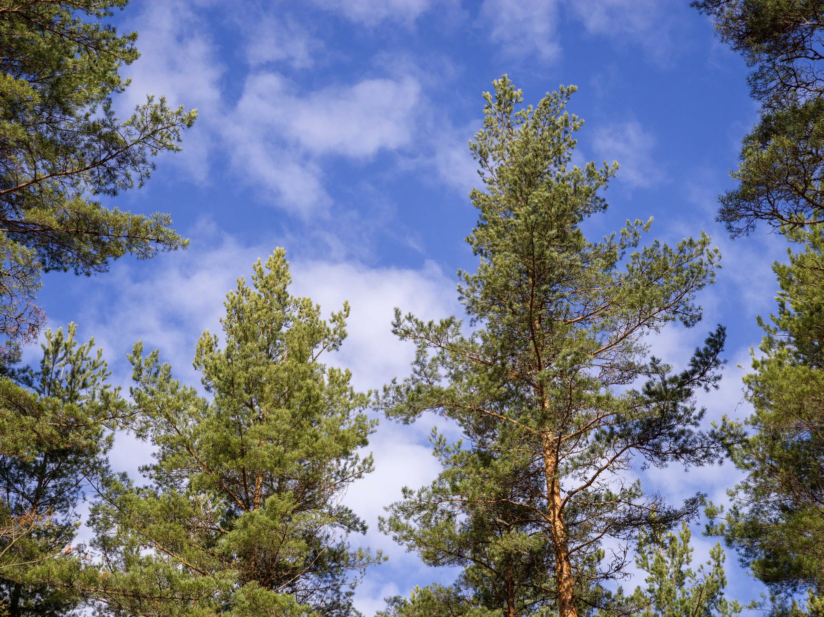 Bostadsrätt, 1105 - Kottevägen, Bankeryd, Jönköping
