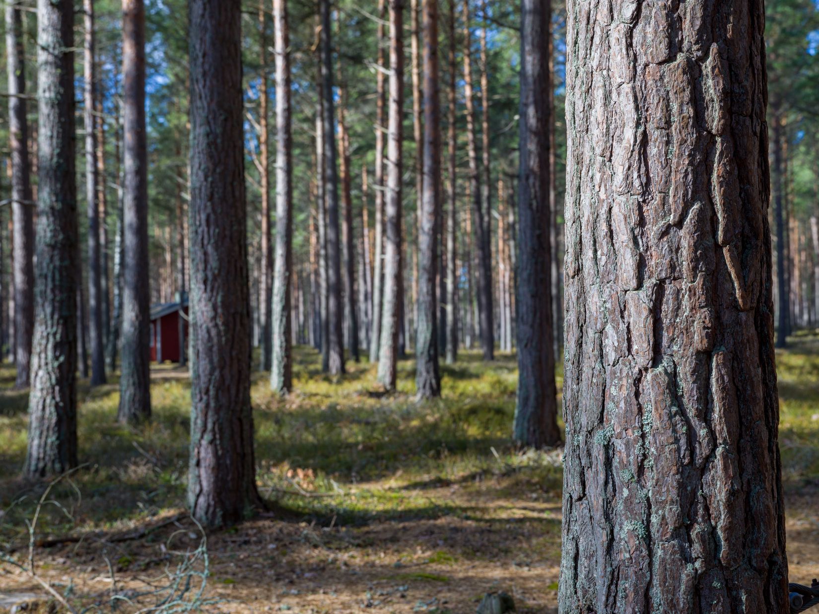 Bostadsrätt, 1206 - Kottevägen, Bankeryd, Jönköping
