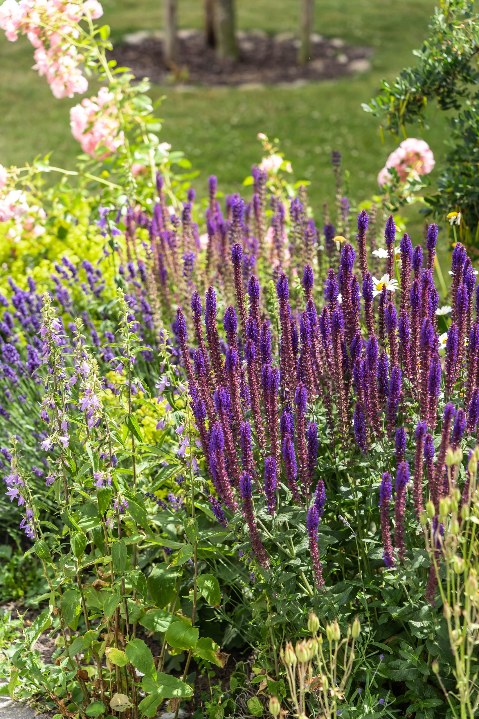 Bostadsrätt, Björkvägen 5B, Parkstaden, Kristianstad