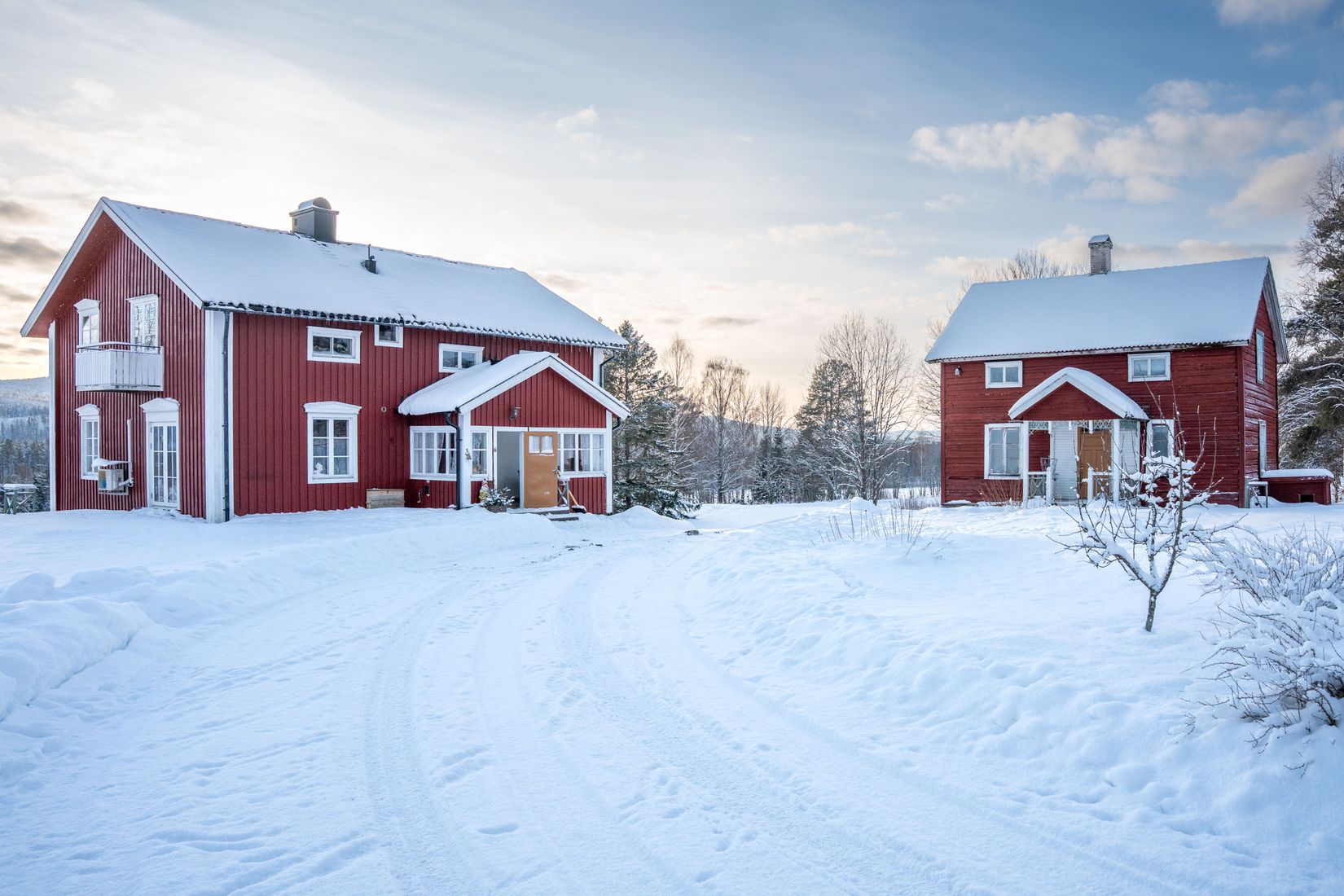 Gård/Skog, Sångal 206, Sollefteå