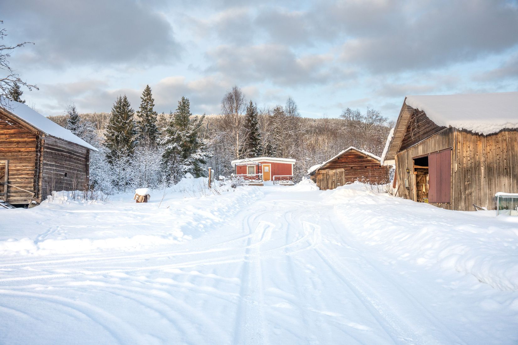Gård/Skog, Sångal 206, Sollefteå